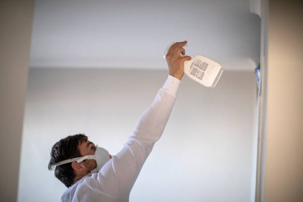 Best Certified Mold Removal  in Laurel, DE