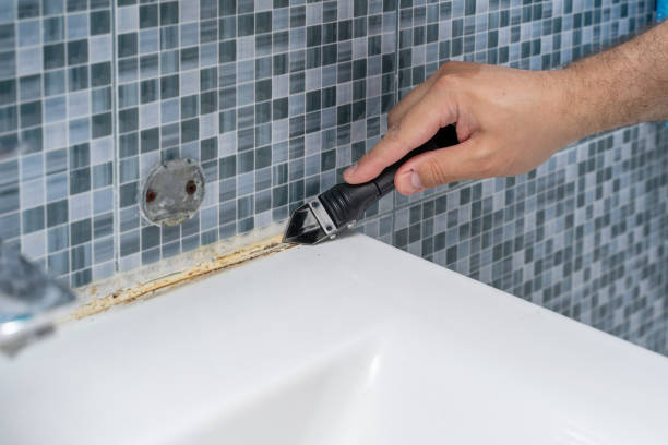 Reliable Laurel, DE Mold Removal Solutions