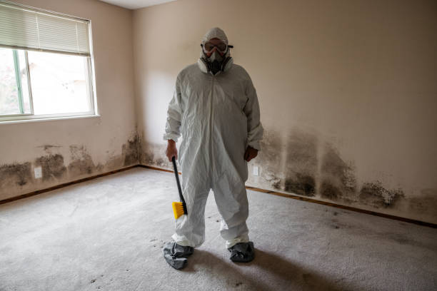 Best Mold Testing  in Laurel, DE